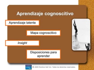 Aprendizaje cognoscitivo
Aprendizaje latente
Mapa cognoscitivo
Insight
Disposiciones para
aprender
 