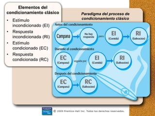 • Estímulo
incondicionado (EI)
• Respuesta
incondicionada (RI)
• Estímulo
condicionado (EC)
• Respuesta
condicionada (RC)
Elementos del
condicionamiento clásico Paradigma del proceso de
condicionamiento clásico
 