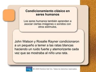 Condicionamiento clásico en
seres humanos
Los seres humanos también aprenden a
asociar ciertas imágenes o sonidos con
otros estímulos.
John Watson y Rosalie Rayner condicionaron
a un pequeño a temer a las ratas blancas
haciendo un ruido fuerte y atemorizante cada
vez que se mostraba al niño una rata.
 