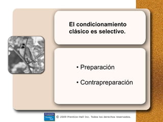 El condicionamiento
clásico es selectivo.
• Preparación
• Contrapreparación
 