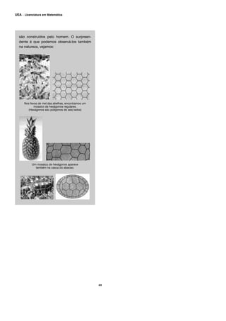 são construídos pelo homem. O surpreen-
dente é que podemos observá-los também
na natureza, vejamos:
Nos favos de mel das abelhas, encontramos um
mosaico de hexágonos regulares.
(Hexágonos são polígonos de seis lados)
Um mosaico de hexágonos aparece
também na casca do abacaxi.
44
UEA – Licenciatura em Matemática
 