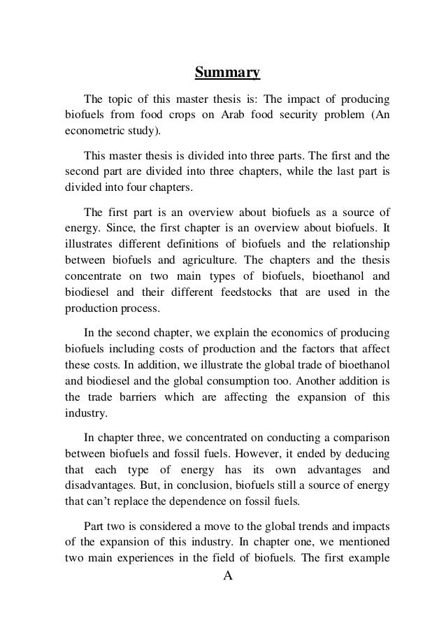 Master thesis food security