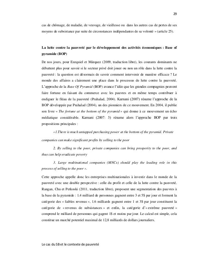 memoire sur les social business