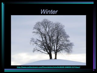 Winter




http://www.authorstream.com/Presentation/mireille30100-1648355-517-hiver/
 