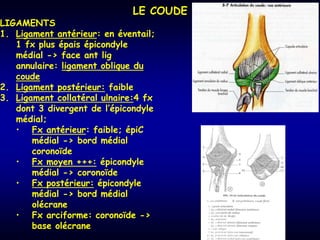 517058.ppt