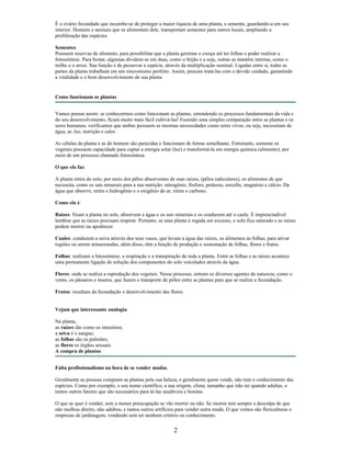 É o ovário fecundado que incumbe-se de proteger a maior riqueza de uma planta, a semente, guardando-a em seu
interior. Homens e animais que se alimentam dele, transportam sementes para outros locais, ampliando a
proliferação das espécies.
Sementes
Possuem reservas de alimento, para possibilitar que a planta germine e cresça até ter folhas e poder realizar a
fotossíntese. Para brotar, algumas dividem-se em duas, como o feijão e a soja, outras se mantém inteiras, como o
milho e o arroz. Sua função é de preservar a espécie, através da multiplicação seminal. Ligadas entre si, todas as
partes da planta trabalham em um sincronismo perfeito. Assim, procure tratá-las com o devido cuidado, garantindo
a vitalidade e o bom desenvolvimento de sua planta.
Como funcionam as plantas
Vamos pensar assim: se conhecermos como funcionam as plantas, entendendo os processos fundamentais da vida e
do seu desenvolvimento, ficará muito mais fácil cultivá-las! Fazendo uma simples comparação entre as plantas e os
seres humanos, verificamos que ambas possuem as mesmas necessidades como seres vivos, ou seja, necessitam de
água, ar, luz, nutrição e calor.
As células da planta e as do homem são parecidas e funcionam de forma semelhante. Entretanto, somente os
vegetais possuem capacidade para captar a energia solar (luz) e transformá-la em energia química (alimento), por
meio de um processo chamado fotossíntese.
O que ela faz:
A planta retira do solo, por meio dos pêlos absorventes de suas raízes, (pêlos radiculares), os alimentos de que
necessita, como os sais minerais para a sua nutrição: nitrogênio, fósforo, potássio, enxofre, magnésio e cálcio. Da
água que absorve, retira o hidrogênio e o oxigênio do ar, retira o carbono.
Como ela é:
Raizes: fixam a planta no solo, absorvem a água e os sais minerais e os conduzem até o caule. É imprescindível
lembrar que as raízes precisam respirar. Portanto, se uma planta é regada em excesso, o solo fica saturado e as raízes
podem morrer ou apodrecer.
Caules: conduzem a seiva através dos seus vasos, que levam a água das raízes, os alimentos às folhas, para ativar
regiões ou serem armazenadas, além disso, têm a função de produção e sustentação de folhas, flores e frutos.
Folhas: realizam a fotossíntese, a respiração e a transpiração de toda a planta. Entre as folhas e as raízes acontece
uma permanente ligação de solução dos componentes do solo veiculados através da água.
Flores: onde se realiza a reprodução dos vegetais. Nesse processo, entram os diversos agentes da natureza, como o
vento, os pássaros e insetos, que fazem o transporte de pólen entre as plantas para que se realize a fecundação.
Frutos: resultam da fecundação e desenvolvimento das flores.
Vejam que interessante analogia:
Na planta,
as raízes são como os intestinos;
a seiva é o sangue;
as folhas são os pulmões;
as flores os órgãos sexuais.
A compra de plantas
Falta profissionalismo na hora de se vender mudas.
Geralmente as pessoas compram as plantas pela sua beleza, e geralmente quem vende, não tem o conhecimento das
espécies. Como por exemplo, o seu nome científico, a sua origem, clima, tamanho que irão ter quando adultas, e
tantos outros fatores que são necessários para tê-las saudáveis e bonitas.
O que se quer é vender, sem a menor preocupação se vão morrer ou não. Se morrer tem sempre a desculpa de que
não molhou direito, não adubou, e tantos outros artifícios para vender outra muda. O que vemos são floriculturas e
empresas de jardinagem, vendendo sem ter nenhum critério ou conhecimento.
2
 