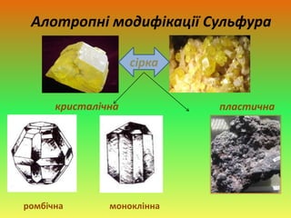 Алотропні модифікації Сульфура 
сірка 
кристалічна пластична 
ромбічна моноклінна 
 
