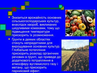  Знизиться врожайність основних 
сільськогосподарських культур, 
внаслідок хвороб, викликаних 
шкідливими комахами, тому що 
підвищення температури 
прискорить їх розмноження. 
 Ґрунти в деяких областях 
стануть непридатними для 
вирощування основних культур. 
Глобальне потепління 
прискорить розклад органічних 
речовин в ґрунті, що приведе до 
додаткового потрапляння в 
атмосферу вуглекислого газу і 
метану, що прискорить 
парниковий ефект. 
 