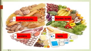 carbohydrates Nucleic acids
lipids
proteins
1.
2.
3.
4.
 