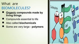 What are
BIOMOLECULES?
 Organic compounds made by
living things
 Compounds essential to life
 Also called biochemicals
 Some are very large - polymers
 