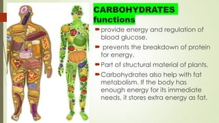 provide energy and regulation of
blood glucose.
 prevents the breakdown of protein
for energy.
Part of structural material of plants.
Carbohydrates also help with fat
metabolism. If the body has
enough energy for its immediate
needs, it stores extra energy as fat.
 