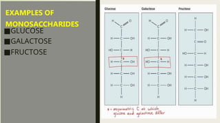 EXAMPLES OF
MONOSACCHARIDES
■GLUCOSE
■GALACTOSE
■FRUCTOSE
 