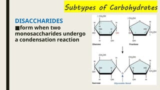 DISACCHARIDES
■form when two
monosaccharides undergo
a condensation reaction
 