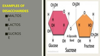 EXAMPLES OF
DISACCHARIDES
■MALTOS
E
■LACTOS
E
■SUCROS
E
 