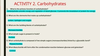ACTIVITY 2. Carbohydrates
 