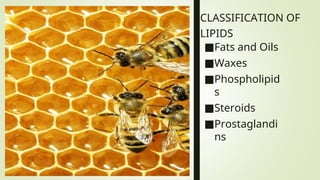 CLASSIFICATION OF
LIPIDS
■Fats and Oils
■Waxes
■Phospholipid
s
■Steroids
■Prostaglandi
ns
 