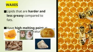 ■Lipids that are harder and
less greasy compared to
fats.
■Have high melting point at
solid at room temperature.
 