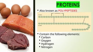  Also known as POLYPEPTIDES
 Contain the following elements:
 Carbon
 Oxygen
 Hydrogen
 Nitrogen
 