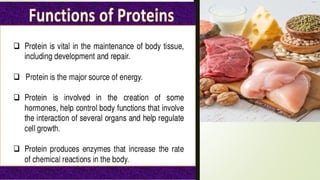 Immunoglobul
in
G (IgG)
Enzymes carry
out almost all
of the
thousands of
chemical
reactions that
take place in
Phenylalanine
hy
droxylase
 