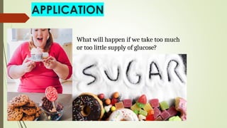 What will happen if we take too much
or too little supply of glucose?
 