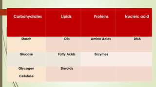 Carbohydrates Lipids Proteins Nucleic acid
Starch Oils Amino Acids DNA
Glucose Fatty Acids Enzymes
Glycogen
Cellulose
Steroids
 