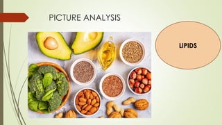 PICTURE ANALYSIS
LIPIDS
 