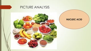 PICTURE ANALYSIS
NUCLEIC ACID
 
