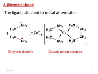 2. Bidentate Ligand
Ethylene diamine
The ligand attached to metal at two sites.
Copper amine complex
H2C
H2C
NH2
NH2
H2C
H2C
NH2
NH2
CH2
CH2
H2N
H2N
Cu
+ Cu2+
2
2020-03-28 10
 