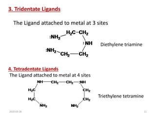 Diethylene triamine
Triethylene tetramine
3. Tridentate Ligands
4. Tetradentate Ligands
The Ligand attached to metal at 4 sites
The Ligand attached to metal at 3 sites
2020-03-28 11
 