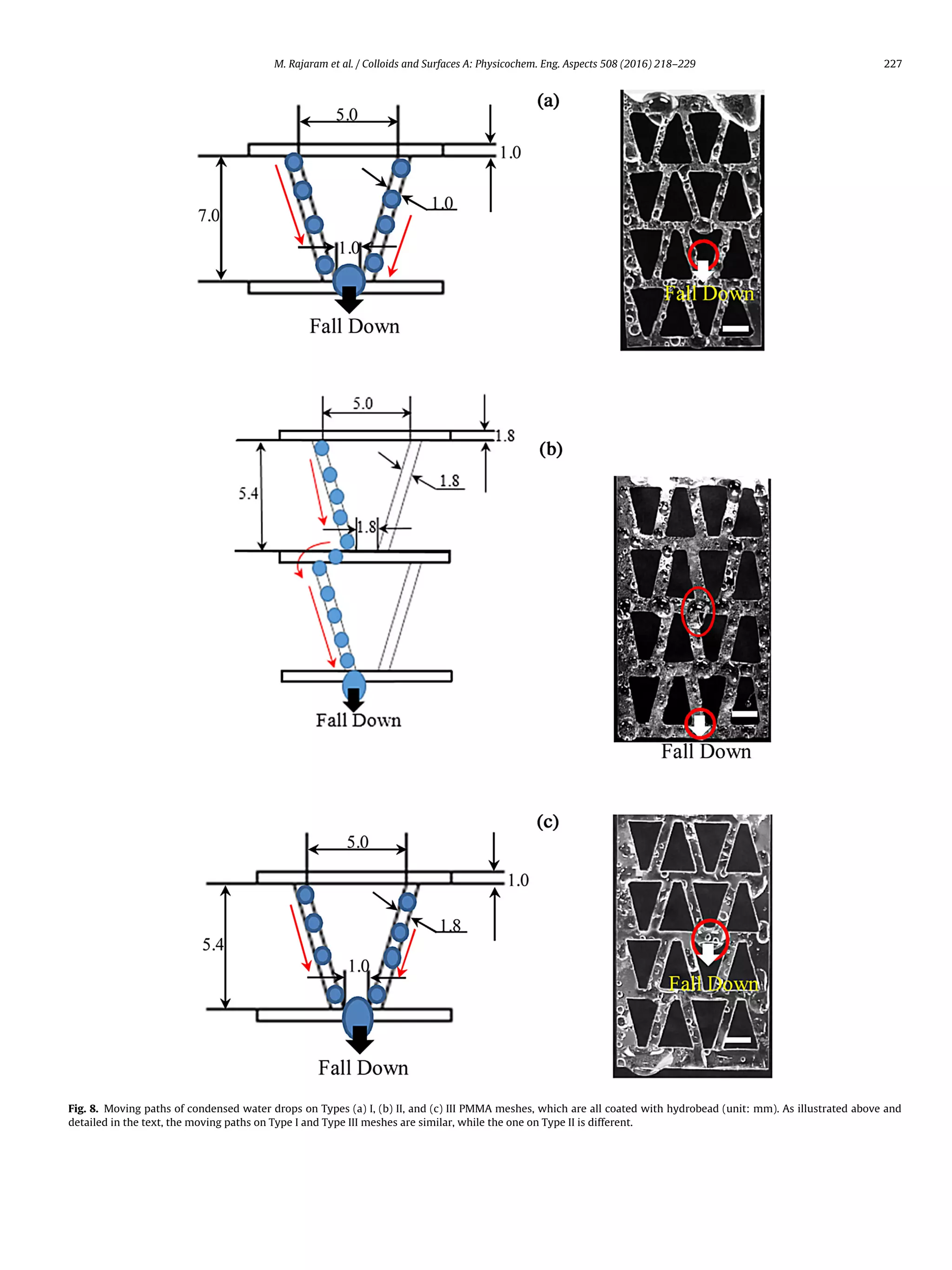 M. Rajaram et al. / Colloids and Surfaces A: Physicochem. Eng. Aspects 508 (2016) 218–229 227
Fig. 8. Moving paths of condensed water drops on Types (a) I, (b) II, and (c) III PMMA meshes, which are all coated with hydrobead (unit: mm). As illustrated above and
detailed in the text, the moving paths on Type I and Type III meshes are similar, while the one on Type II is different.
 