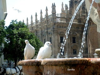 Sevilla 