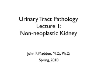 Urinary Tract Pathology
Lecture 1:
Non-neoplastic Kidney
John F. Madden, M.D., Ph.D.
Spring, 2010
0:00
 