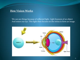 How Vision Works
We can see things because of reflected light. Light bounces of an object
And enters our eye. This light then focuses on the retina to form an image.
15
 