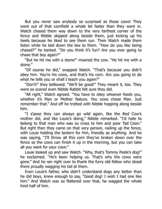 But you never saw anybody so surprised as those cows! They
went out of that cornfield a whole lot faster than they went in.
Watch chased them way down to the very farthest corner of the
fence and Nibble skipped along beside them, just kicking up his
heels because he liked to see them run. Then Watch made them
listen while he laid down the law to them. “How do you like being
chased?” he barked. “Do you think it’s fun? Are you ever going to
chase that boy again?”
“But he hit me with a stone!” moaned the cow. “He hit me with a
stone.”
“Of course he did,” snapped Watch. “That’s because you didn’t
obey him. You’re his cows, and that’s his corn. Are you going to do
what he tells you or shall I teach you again?”
“Don’t!” they bellowed. “We’ll be good!” They meant it, too. They
were so scared even Nibble Rabbit felt sure they did.
“All right,” Watch agreed. “You have to obey whoever feeds you,
whether it’s Man or Mother Nature. You cows chose Man. Just
remember that.” And off he trotted with Nibble hopping along beside
him.
“I s’pose they can always go wild again, like the Red Cow’s
mother did, and like Louie’s doing,” Nibble remarked. “I’d hate to
belong to that man who was so cross to him and poor Tad Coon.”
But right then they came on that very person, nailing up the fence,
with Louie holding the lantern for him, friendly as anything. And he
was saying, “I’ll throw all this corn they’ve broken down over the
fence so the cows can finish it up in the morning, but you can take
all you want for your coon.”
Louie looked up and saw Watch. “Why, that’s Tommy Peele’s dog!”
he exclaimed. “He’s been helping us. That’s why the cows were
gone.” And he ran right over to thank the furry old fellow who stood
there proudly wagging his tail at them.
Even Louie’s father, who didn’t understand dogs any better than
he did boys, knew enough to say, “Good dog! I wish I had one like
him.” And Watch was so flattered over that, he wagged the whole
hind half of him.
 