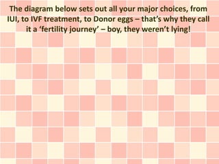 The diagram below sets out all your major choices, from
IUI, to IVF treatment, to Donor eggs – that’s why they call
      it a ‘fertility journey’ – boy, they weren’t lying!
 