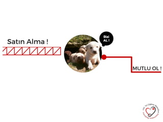 Hayvanların Korunmasına Dair Uygulama Yönetmeliği
