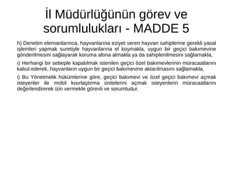 İl Müdürlüğünün görev ve
sorumlulukları - MADDE 5
h) Denetim elemanlarınca, hayvanlarına eziyet veren hayvan sahiplerine gerekli yasal
işlemleri yapmak suretiyle hayvanlarına el koymakla, uygun bir geçici bakımevine
gönderilmesini sağlayarak koruma altına almakla ya da sahiplenilmesini sağlamakla,
ı) Herhangi bir sebeple kapatılmak istenilen geçici özel bakımevlerinin müracaatlarını
kabul ederek, hayvanların uygun bir geçici bakımevine aktarılmasını sağlamakla,
i) Bu Yönetmelik hükümlerine göre, geçici bakımevi ve özel geçici bakımevi açmak
isteyenler ile mobil kısırlaştırma ünitelerini açmak isteyenlerin müracaatlarını
değerlendirerek izin vermekle görevli ve sorumludur.
 