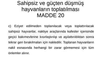 Sahipsiz ve güçten düşmüş
hayvanların toplatılması
MADDE 20
c) Eziyet edilmeden toplanılacak veya toplattırılacak
sahipsiz hayvanlar, nakliye araçlarında kafesler içerisinde
geçici bakımevlerine kısırlaştırılıp ve aşılattırıldıktan sonra
tekrar geri bırakılmaları için nakledilir. Toplanan hayvanların
nakil esnasında herhangi bir zarar görmemesi için tüm
önlemler alınır.
 