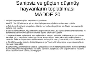 Sahipsiz ve güçten düşmüş
hayvanların toplatılması
MADDE 20
● Sahipsiz ve güçten düşmüş hayvanların toplatılması
● MADDE 20 – (1) Sahipsiz ve güçten düşmüş hayvanlar aşağıdaki esaslara göre toplatılır:
● a) Belediyelerde sahipsiz veya güçten düşmüş hayvanların toplatılması için ihtiyacı karşılayacak bir
toplama ekibi kurulur.
● b) Belediyeler tarafından, hayvan toplama ekiplerinin kurulması, bu kişilerin ehil kişilerden oluşması ve
dönemsel olarak sorumlu veteriner hekimce eğitime tutulmaları sağlanır.
● c) Eziyet edilmeden toplanılacak veya toplattırılacak sahipsiz hayvanlar, nakliye araçlarında kafesler
içerisinde geçici bakımevlerine kısırlaştırılıp ve aşılattırıldıktan sonra tekrar geri bırakılmaları için
nakledilir. Toplanan hayvanların nakil esnasında herhangi bir zarar görmemesi için tüm önlemler alınır.
● ç) Gönüllü kuruluşlar, belediye ile işbirliği yaparak bu Yönetmelik hükümlerine uygun olarak sahipsiz
hayvanları toplayabilir.
● d) Sahipsiz hayvanlar öncelikle kafes ve ağ ile yakalanır. Bu metotlarla yakalamanın mümkün olmadığı
durumlarda yakalama sopasıyla da yakalama yapılabilir. Uyuşturucu tüfek uygulamaları ile yakalama
ancak veteriner hekim kontrolü altında yapılır.
 