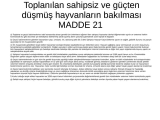 Toplanılan sahipsiz ve güçten
düşmüş hayvanların bakılması
MADDE 21
a) Toplama ve geçici bakımevlerine nakil esnasında alınan gerekli tüm önlemlere rağmen ölen sahipsiz hayvanlar derhal diğerlerinden ayrılır ve veteriner hekim
kontrolünde bu gibi durumlar için belediyece belirlenmiş yerde açılmış derin çukurlara gömülerek üzeri toprak ile kapatılır.
b) Geçici bakımevlerine getirilen hayvanların yaşı, cinsiyeti, ırkı, davranış şekli Ek-2 deki Sahipsiz Hayvan Kayıt Defterine yazılır ve sağlık, gebelik durumu ve parazit
açısından bir ön muayeneden geçirilir.
c) Ön muayenede gebelikleri tespit edilen hayvanlar kısırlaştırılmadan kaydedilerek ayrı bölümlere alınır. Hayvan sağlığına zarar vermeyecek ve cenin oluşumunu
tamamlamamış şekildeki gebelikler sonlandırılır. Doğan yavruların sütten ayrılıncaya kadar geçici bakımevinde gerekli bakımı yapılır. Geçici bakımevinde bulunan
tüm hayvanların sahiplendirilmesi için belediye tarafından belediye ilân panoları ile belediyenin internet ortamında ve diğer tüm yayın organlarında duyuru yapılır ve
sahiplendirilme teşvik edilir.
ç) Sahipsiz hayvanlar kısırlaştırıldıktan ve gerekli tıbbî müdahaleler yapıldıktan sonra sahiplenme talebinde bulunan ve 5199 sayılı Kanun ve bu Yönetmelikte
öngörülen şartları taşıyan kişilere teslim edilir ve belediyece kayıt altına alınır. Belediyeler sağladıkları bu hizmetten dolayı belli bir ücret talep etmez.
d) Geçici bakımevlerinde on gün süre ile gerekli duyurular yapıldığı halde sahiplendirilemeyen hayvanlar kontrolleri, aşıları ve tıbbî müdahaleler ile kısırlaştırılmaları
yapıldıktan ve operasyon yaraları kapandıktan en az yedi gün sonra kayıt altına alınıp, müdahale görmüş olduklarını gösteren işaretleri üzerlerinde olacak şekilde
veteriner hekimin onayıyla alındıkları ortama geri bırakılır. Bu ortamlarda belediyeler, gönüllü kuruluşlarla işbirliği içerisinde besleme odakları kurar ve hayvanların
beslenmesine yardımcı olur. Hayvanlar, hiçbir suretle ilgili belediye sınırları dışındaki bir ortama, ormanlık alana veya diğer yaban hayatı yaşam alanlarına bırakılmaz.
e) Geçici bakımevlerinde kaldıkları süre içerisinde; kanunî istisnalar ile bulaşıcı, tedavi edilemez veya tedavi sonrası iyileşme ihtimali olmayan bir hastalığa
yakalanan ve alındığı ortama bırakıldığında insan ve çevre sağlığına önlenemez derecede tehdit vereceğine geçici bakımevi veteriner hekimince karar verilen
hayvanların dışında hiçbir hayvan öldürülmez. Öldürme işleminde hayvanlara en az acı veren ve süratle ölümünü sağlayan yöntemler uygulanır.
f) Kuduz olduğu tespit edilen hayvanlar ise 3285 sayılı Kanun hükümleri çerçevesinde değerlendirilerek gerekli tüm müdahaleler veteriner hekim kontrolünde yapılır.
g) Sahipli veya sahipsiz hiçbir hayvan belediye, gönüllü kuruluş veya diğer üçüncü şahıslarca belediye sınırları dışında yaban hayatı yaşam alanlarına bırakılmaz.
 