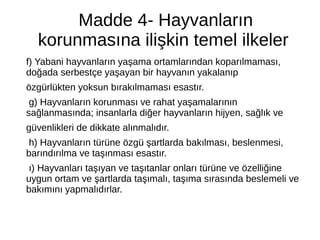 Madde 4- Hayvanların
korunmasına ilişkin temel ilkeler
f) Yabani hayvanların yaşama ortamlarından koparılmaması,
doğada serbestçe yaşayan bir hayvanın yakalanıp
özgürlükten yoksun bırakılmaması esastır.
g) Hayvanların korunması ve rahat yaşamalarının
sağlanmasında; insanlarla diğer hayvanların hijyen, sağlık ve
güvenlikleri de dikkate alınmalıdır.
h) Hayvanların türüne özgü şartlarda bakılması, beslenmesi,
barındırılma ve taşınması esastır.
ı) Hayvanları taşıyan ve taşıtanlar onları türüne ve özelliğine
uygun ortam ve şartlarda taşımalı, taşıma sırasında beslemeli ve
bakımını yapmalıdırlar.
 