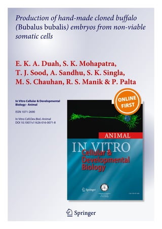 1 23
In Vitro Cellular & Developmental
Biology - Animal
ISSN 1071-2690
In Vitro Cell.Dev.Biol.-Animal
DOI 10.1007/s11626-016-0071-8
Production of hand-made cloned buffalo
(Bubalus bubalis) embryos from non-viable
somatic cells
E. K. A. Duah, S. K. Mohapatra,
T. J. Sood, A. Sandhu, S. K. Singla,
M. S. Chauhan, R. S. Manik & P. Palta
 