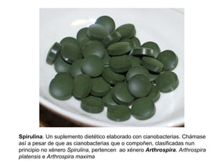 Spirulina. Un suplemento dietético elaborado con cianobacterias. Chámase
así a pesar de que as cianobacterias que o compoñen, clasificadas nun
principio no xénero Spirulina, pertencen ao xénero Arthrospira. Arthrospira
platensis e Arthrospira maxima
 
