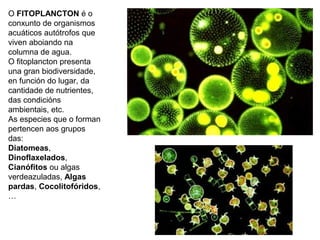 O FITOPLANCTON é o
conxunto de organismos
acuáticos autótrofos que
viven aboiando na
columna de agua.
O fitoplancton presenta
una gran biodiversidade,
en función do lugar, da
cantidade de nutrientes,
das condicións
ambientais, etc.
As especies que o forman
pertencen aos grupos
das:
Diatomeas,
Dinoflaxelados,
Cianófitos ou algas
verdeazuladas, Algas
pardas, Cocolitofóridos,
…
 