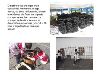 O nori e o tipo de algas máis
consumido no mundo. A alga
fresca, ou seca rehidratada, lávase
e reméxese ata facer unha pasta
coa que se enchen uns marcos,
nos que se lle da a forma e as
dimensións requeridas (uns 18 × 20
cm), e logo téndese para que
seque;
 