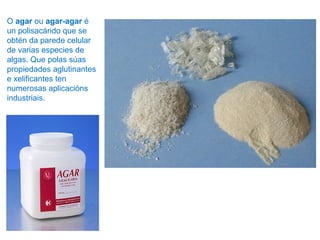 O agar ou agar-agar é
un polisacárido que se
obtén da parede celular
de varias especies de
algas. Que polas súas
propiedades aglutinantes
e xelificantes ten
numerosas aplicacións
industriais.
 