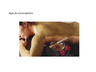 Algas de uso terapéutico
 