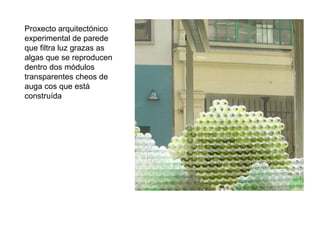 Proxecto arquitectónico
experimental de parede
que filtra luz grazas as
algas que se reproducen
dentro dos módulos
transparentes cheos de
auga cos que está
construída
 