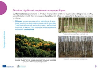 10
Paysageetsylviculture
Structure régulière et peuplements monospécifiques
L’uniformisation des peuplements en structure et composition rend la vue plus monotone. Elle propose, en effet,
un motif régulier répété. C’est le manque de diversité qui fait défaut à ce type de forêt, d’un point de vue interne
et externe.
•	 Mélanger les essences des arbres objectifs et du sous-
étage, par pieds ou par groupements, permet de diversifier
l’esthétiquedelaparcelle,variantlescouleurs,lesfloraisons
ou encore la texture. Cette technique permet également
de favoriser la biodiversité.
Peuplement monospécifique à perte de vue.
Un mélange d'essences, feuillues ou résineuses, est un avantage
paysager majeur. Ici, les couleurs ponctuent la canopée automnale
grâce aux différentes espèces présentes.
Une seule essence, un seul point de vue.
 