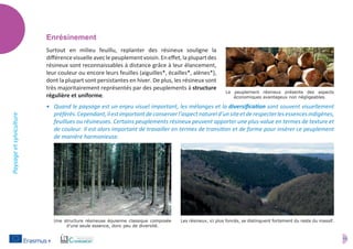 11
Paysageetsylviculture
Enrésinement
Surtout en milieu feuillu, replanter des résineux souligne la
différencevisuelleaveclepeuplementvoisin.Eneffet,laplupartdes
résineux sont reconnaissables à distance grâce à leur élancement,
leur couleur ou encore leurs feuilles (aiguilles*, écailles*, alènes*),
dont la plupart sont persistantes en hiver. De plus, les résineux sont
très majoritairement représentés par des peuplements à structure
régulière et uniforme.
•	 Quand le paysage est un enjeu visuel important, les mélanges et la diversification sont souvent visuellement
préférés.Cependant,ilestimportantdeconserverl’aspectnatureld’unsiteetderespecterlesessencesindigènes,
feuillues ou résineuses. Certains peuplements résineux peuvent apporter une plus-value en termes de texture et
de couleur. Il est alors important de travailler en termes de transition et de forme pour insérer ce peuplement
de manière harmonieuse.
Le peuplement résineux présente des aspects
économiques avantageux non négligeables.
Les résineux, ici plus foncés, se distinguent fortement du reste du massif.Une structure résineuse équienne classique composée
d'une seule essence, donc peu de diversité.
 